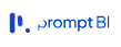 Prompt BI